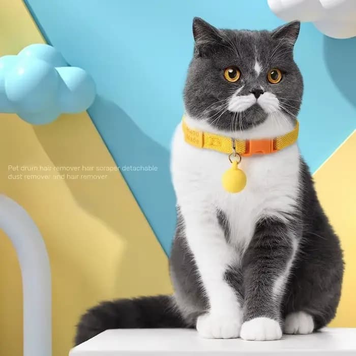 Collier réfléchissant pour chat