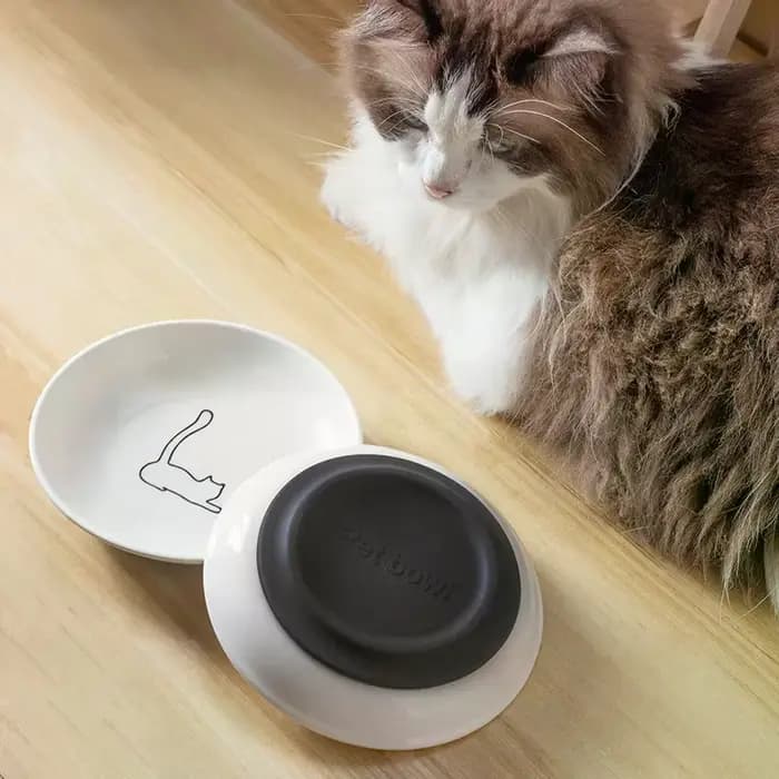 Bol en céramique pour nourriture et eau pour chat avec tapis antidérapant en silicone