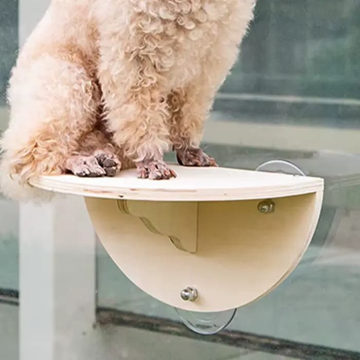 Perche de fenêtre pour chat