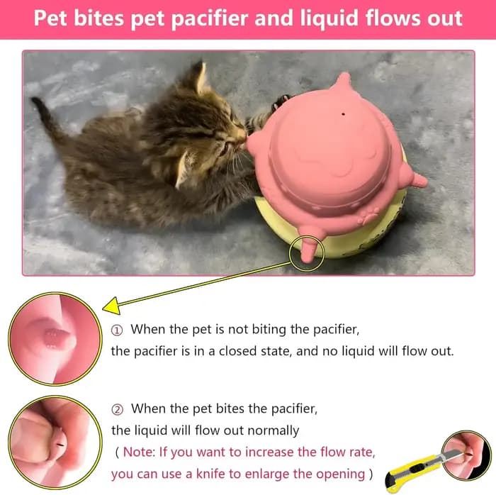 Mangeoire pour chiots et chatons nouveau-nés