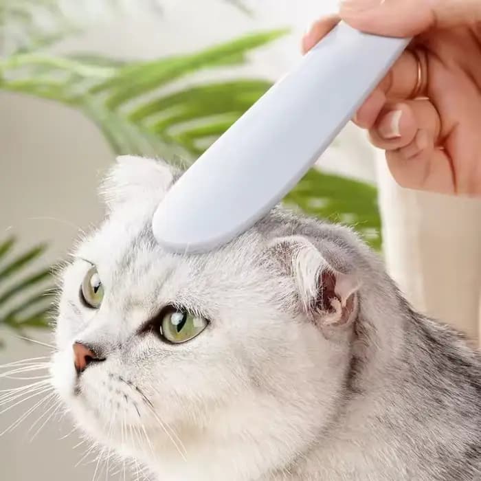 Brosse de toilettage pour chat pour le contrôle de la perte de poils, brosse de massage, peigne pour chat, brosse de retrait des poils, outil pour poils lâches, fournitures de toilettage pour animaux 