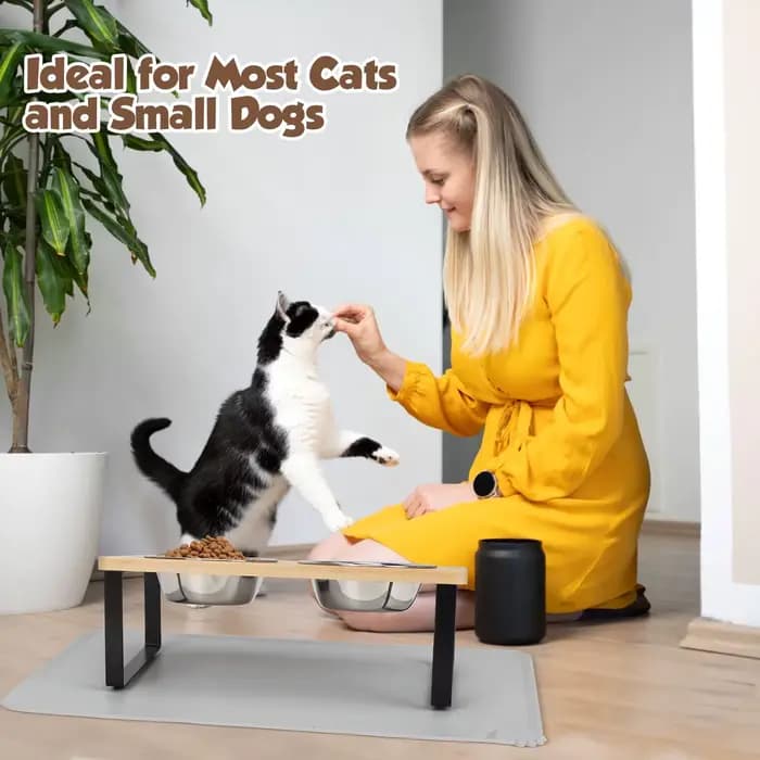 Bols surélevés pour chat avec tapis alimentaire 15 ° Plats pour chats