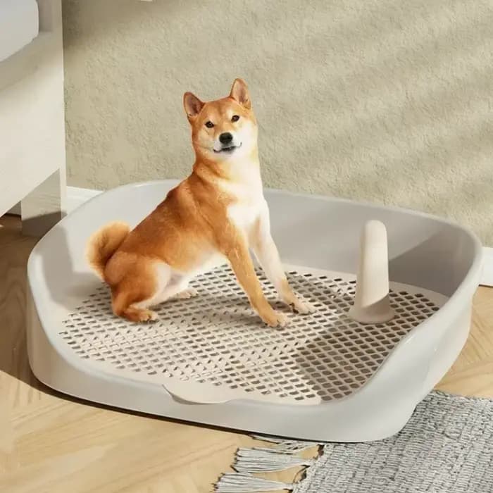 Toilette d'apprentissage pour animaux de compagnie grande taille