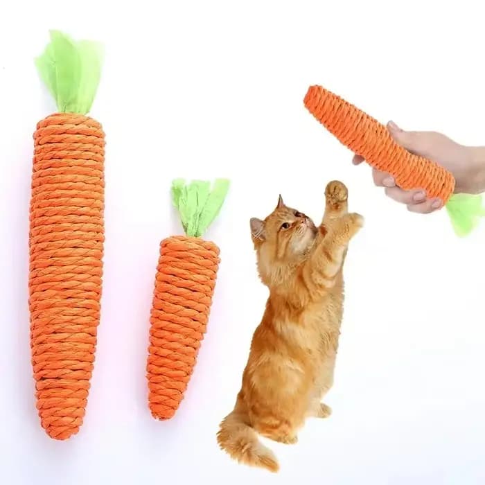 Jouet pour chat, son de carotte, produits pour animaux de compagnie, corde en papier résistante aux morsures, grattoir, dents propres, jeu interactif, jouet à mâcher pour chat