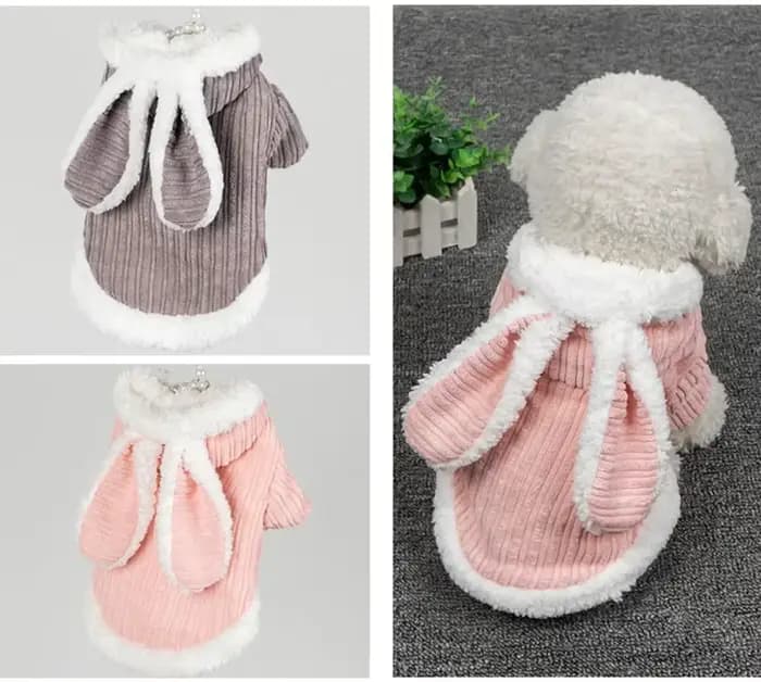 Pull d'hiver pour chat