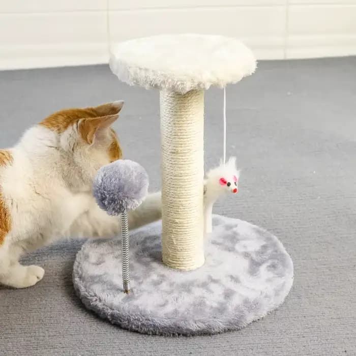 Tour d'arbre à chat, poteau à gratter