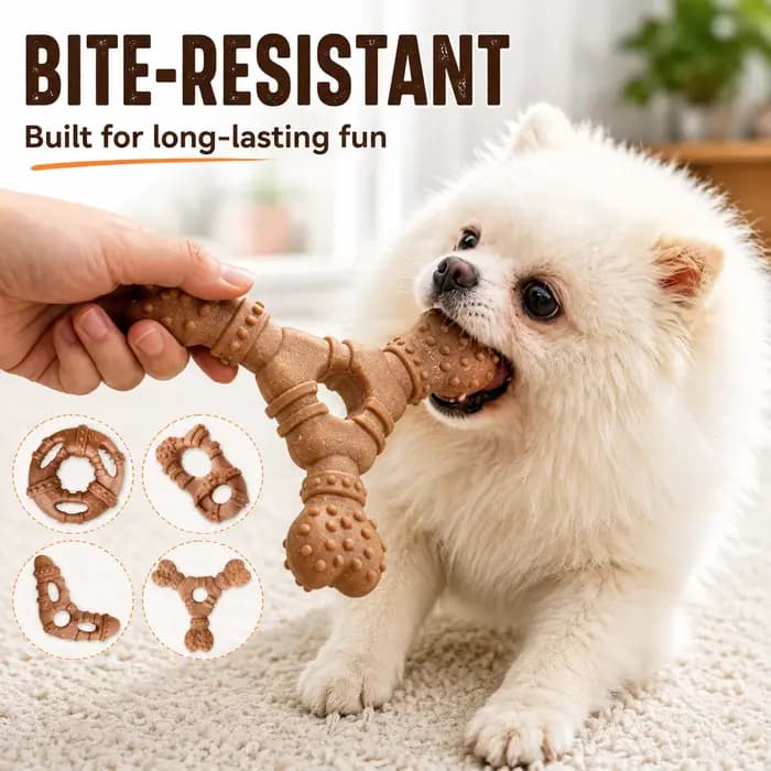 Jouet pour chien, bâton de dentition en forme d'os