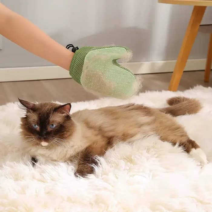 Gant de toilettage pour animaux de compagnie