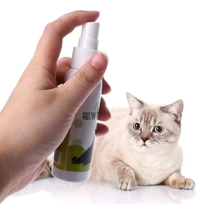 Spray d'herbe à chat pour chat