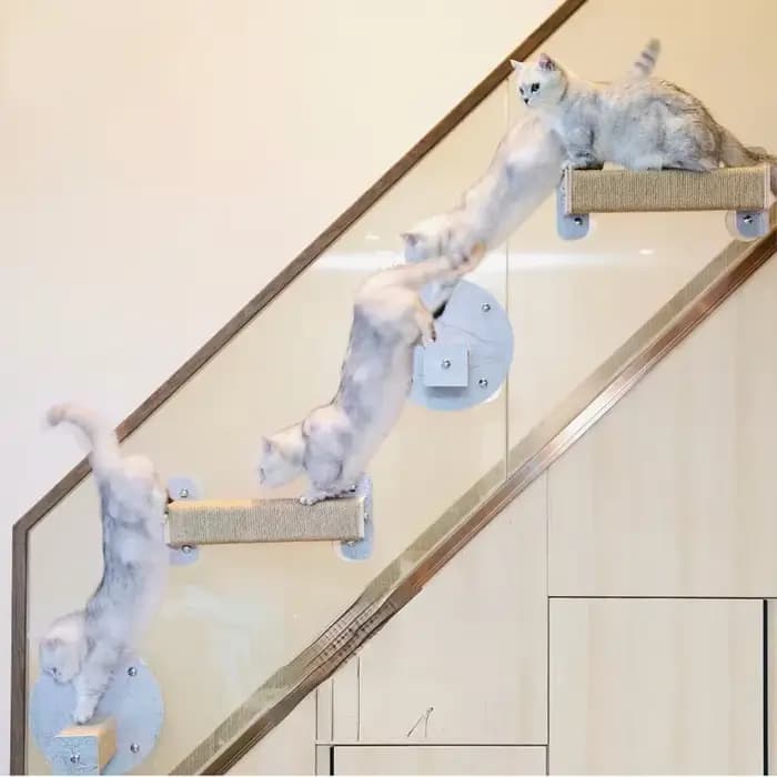 Tour d'arbre pour chat