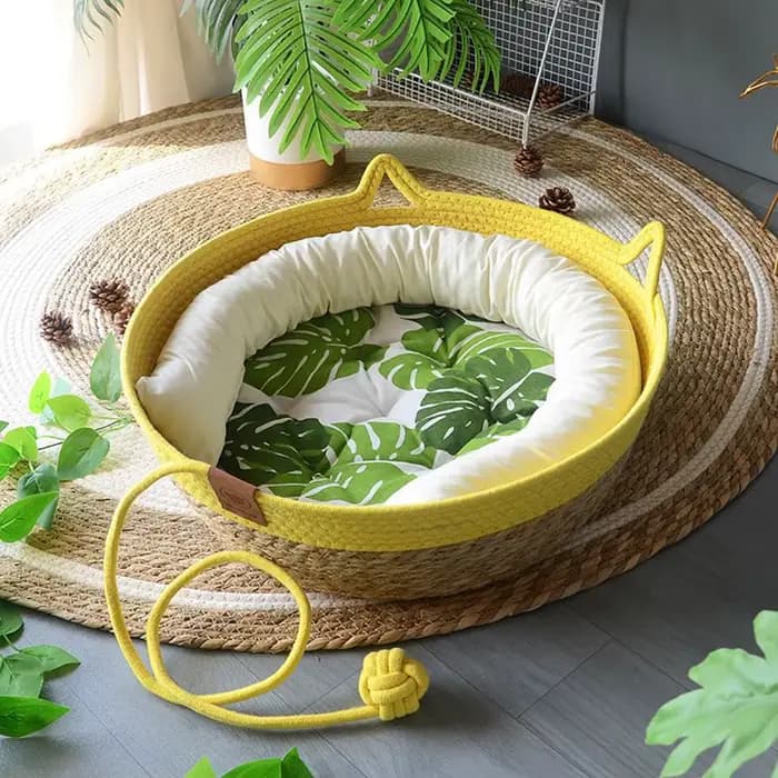 Maison pour chat, niche pour chien