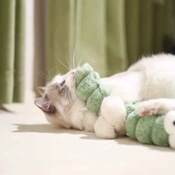 Peluche chat à mâcher jouet herbe-aux-chats auto-hi morsure jouets bande oreiller Teaser jouets pour chats doux interactif chat jouet chaton jouets