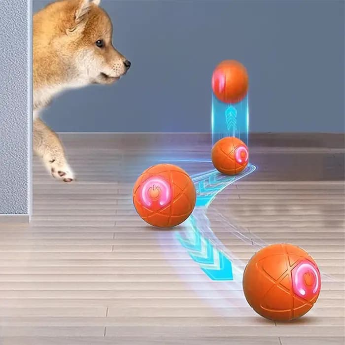 Balle roulante automatique pour chien