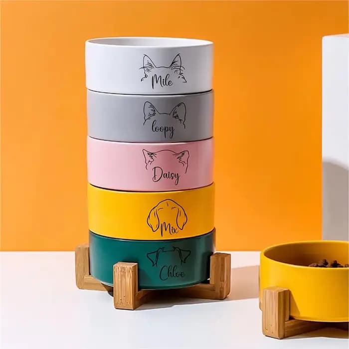 Bol en céramique personnalisé pour animaux de compagnie avec support en bois