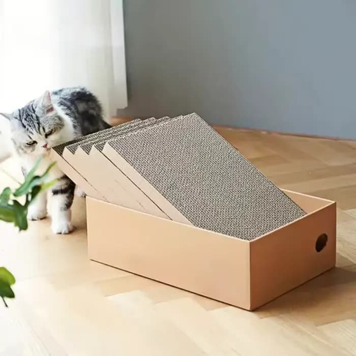 Lot de 4 boîtes en carton pour griffoir de chat pour chats d'intérieur
