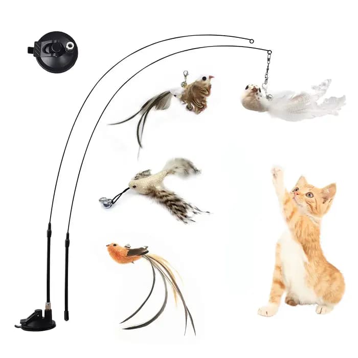 Jouet interactif de Simulation d'oiseau pour chat, avec ventouse, plume amusante pour chaton, exerci