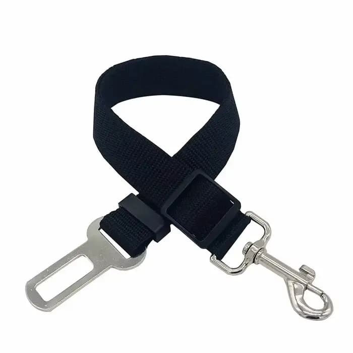 Harnais de sécurité pour chat et chien, laisse réglable, laisse de transport, clip de voyage, collie