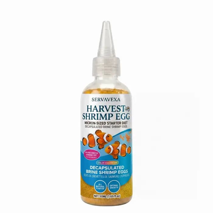 Nourriture pour poissons riches en protéines pour béta et guppy, nourriture d'aquarium de qualité su