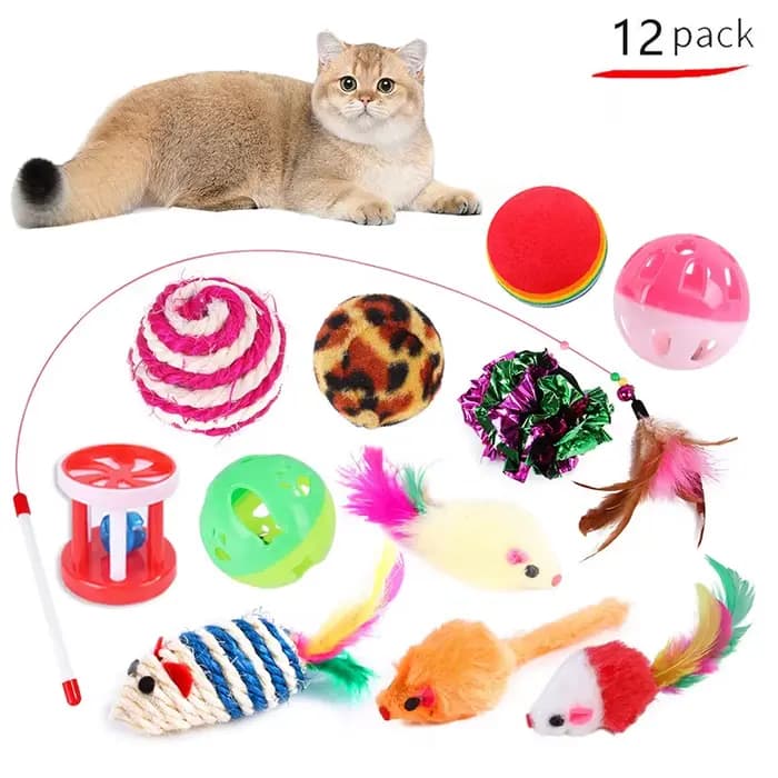 Jouets pour chaton, paquet varié, ensemble combiné de jouets pour animaux de compagnie, bâton amusan