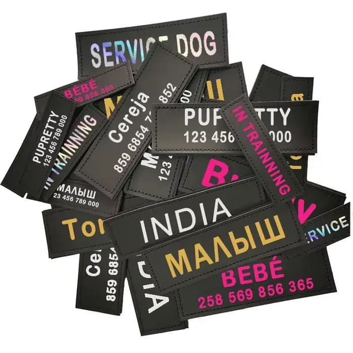 Étiquette de nom de chien personnalisée, étiquette d'identification de harnais, réfléchissante color