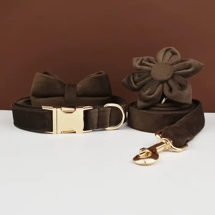 Ensemble collier et laisse pour chien en velours marron foncé, plaque nominative gravée sur mesure,