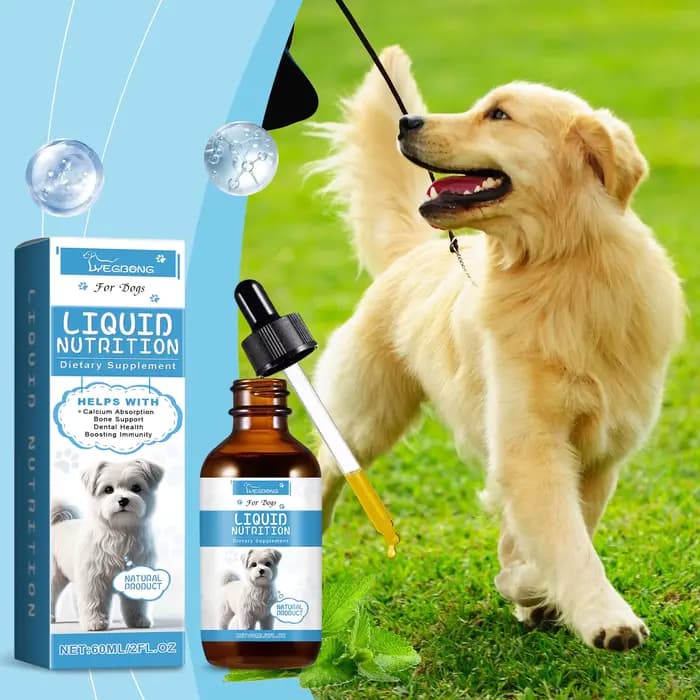 Gouttes de supplément de vitamines pour animaux de compagnie, os forts, favorise l'absorption du cal