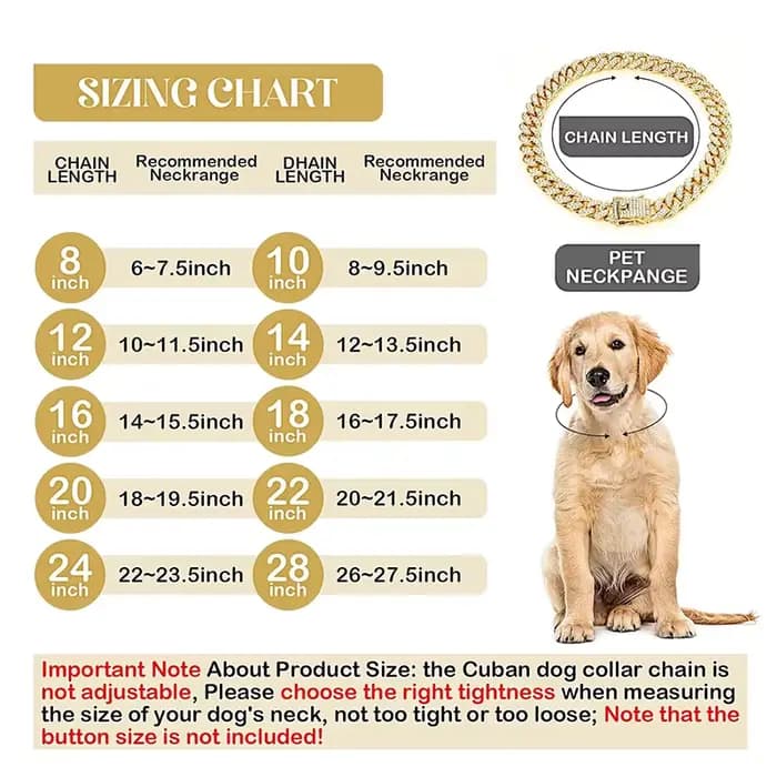 Collier de luxe en diamant pour chien, chaîne cubaine en or, collier en métal pour animaux de compag
