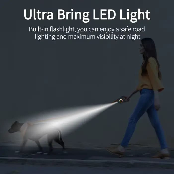 ROJECO 5M automatique chien laisse rétractable LED lumineux leader mode sangles lumineuses pour chie