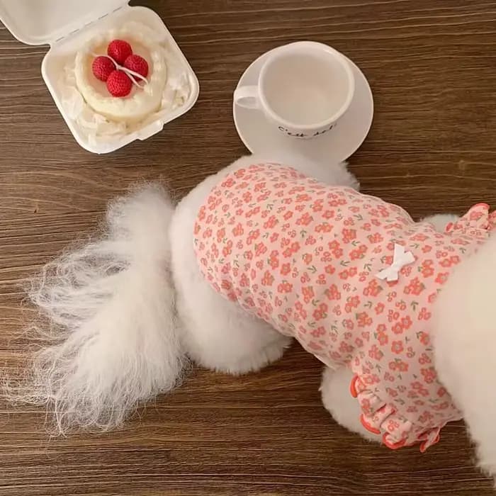Gilet d'été pour chien, vêtements pour chiots, mignon, manches volantes florales, T-Shirt pour chien