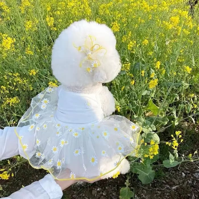 Robe d'été à fraises pour chien, vêtements pour animaux de compagnie, jupe à bretelles, vêtements po