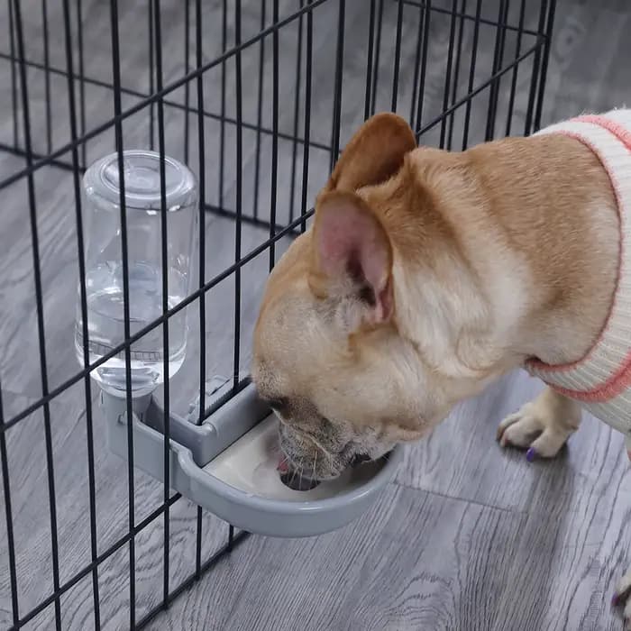 Distributeur automatique d'eau pour animaux de compagnie, bol pour chiot, chat, lapin, chien, produi