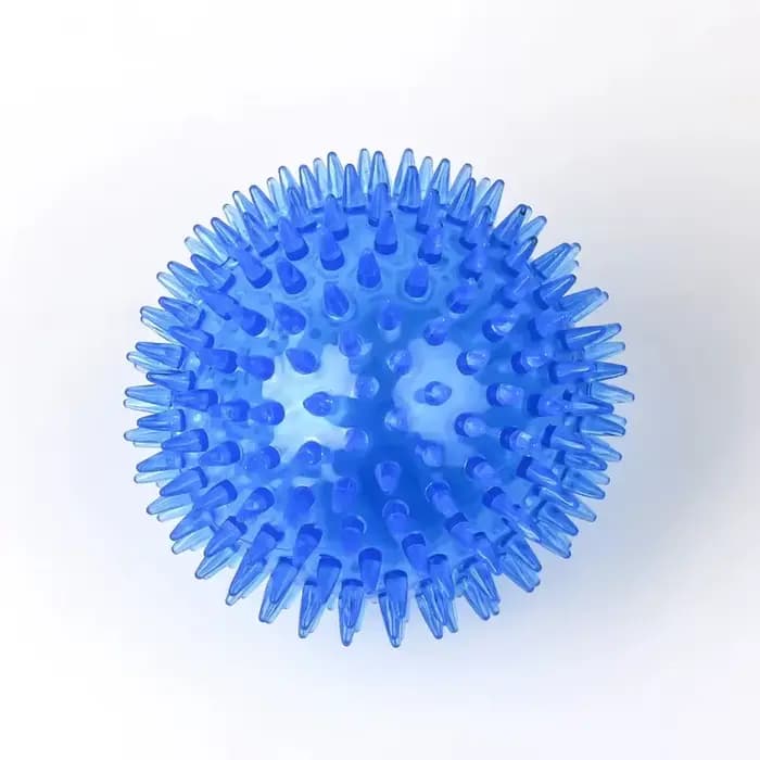 Jouets pour animaux de compagnie, chat, chiot, jouet sonore, boule de nettoyage des dents grinçantes