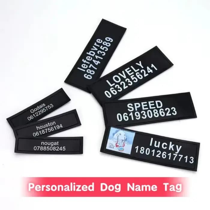 Étiquette autocollante réfléchissante avec nom de chien, 2 pièces, pour collier de harnais pour anim