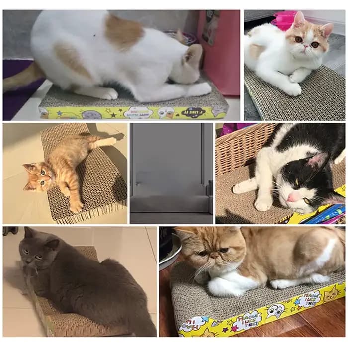 Jouets pour chat grattoir pour chat affûtage griffe carton carton ondulé planche à gratter pour chat