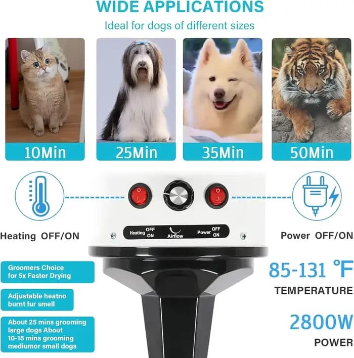 Sèche-cheveux rapide et silencieux pour animaux de compagnie, souffleur de toilettage pour chiens, v