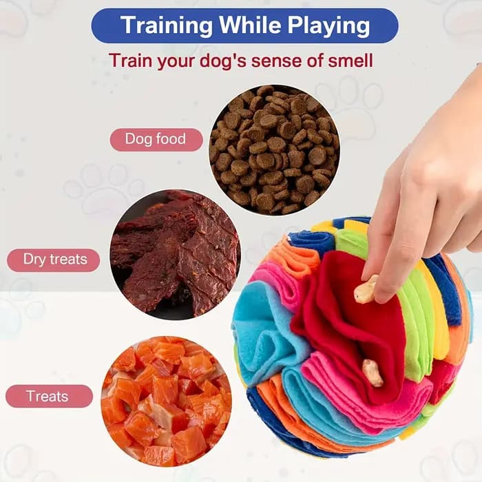 Jouets interactifs pour chiens, boule à reniflage pour chiens, encourage les compétences de recherch