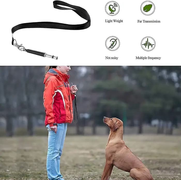 Sifflet ultrasonique pour chiens, pour arrêter d'aboyer, entraînement, accessoires pour animaux de c