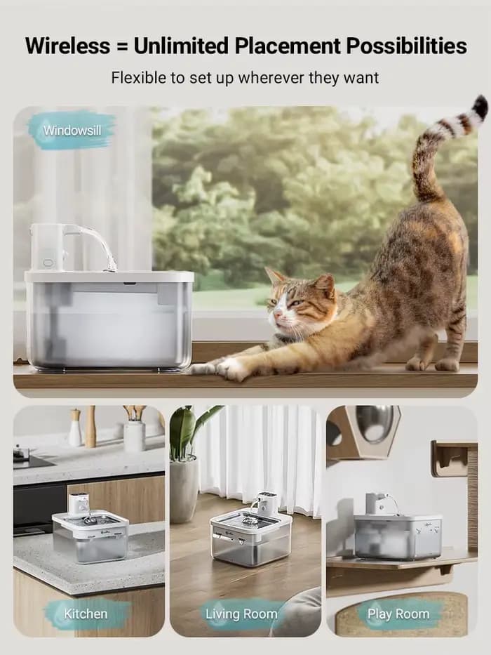 DownyPaws 2,5 L fontaine d'eau automatique en acier inoxydable pour chat 4000 mAh abreuvoir sans fil