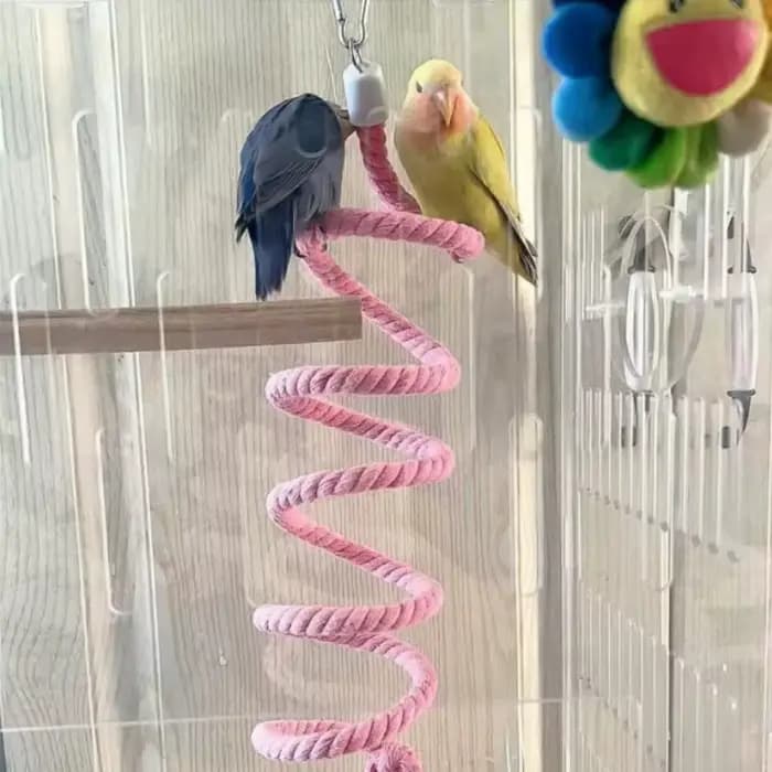 Jouet pour oiseaux en spirale, corde en coton, barre à mâcher, balançoire pour perroquet, jouets deb