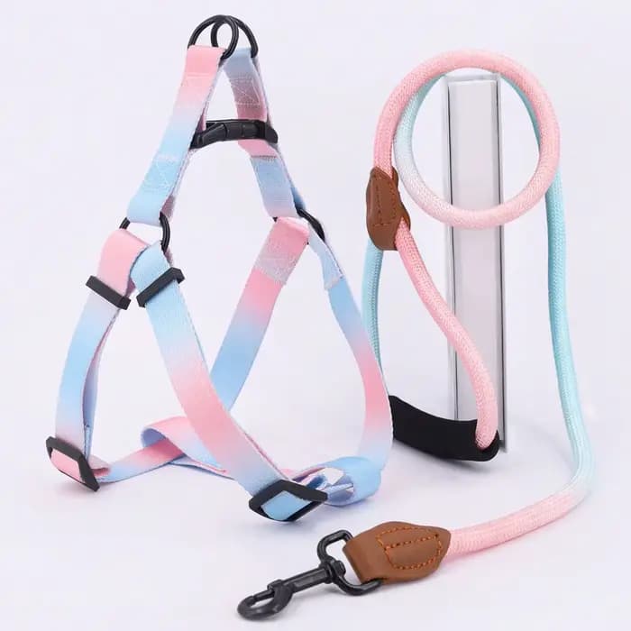 Harnais coloré pour animaux de compagnie avec laisse et laisse pour chien, utilisation intérieure et