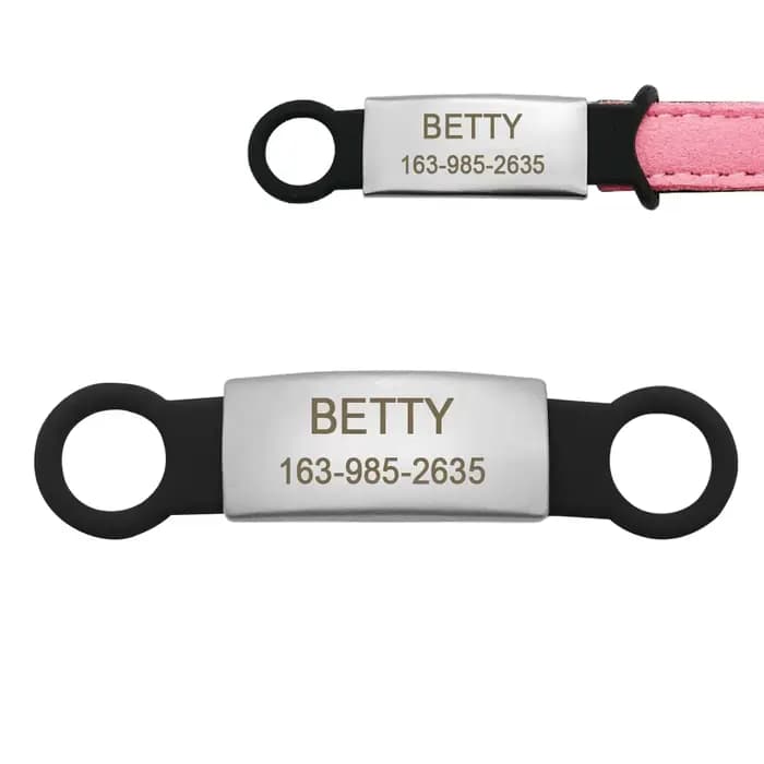 Étiquette d'identification Anti-perte pour chien et chat, pour collier gravé, étiquettes d'identific