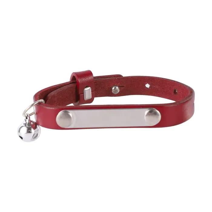 Collier de chat personnalisé réglable en cuir colliers de chats de compagnie collier personnalisé ch