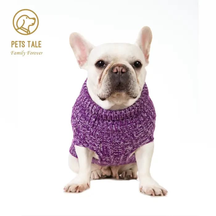 Pull tricoté confortable pour animaux de compagnie pour l'hiver – Gardez votre chien au chaud et élé