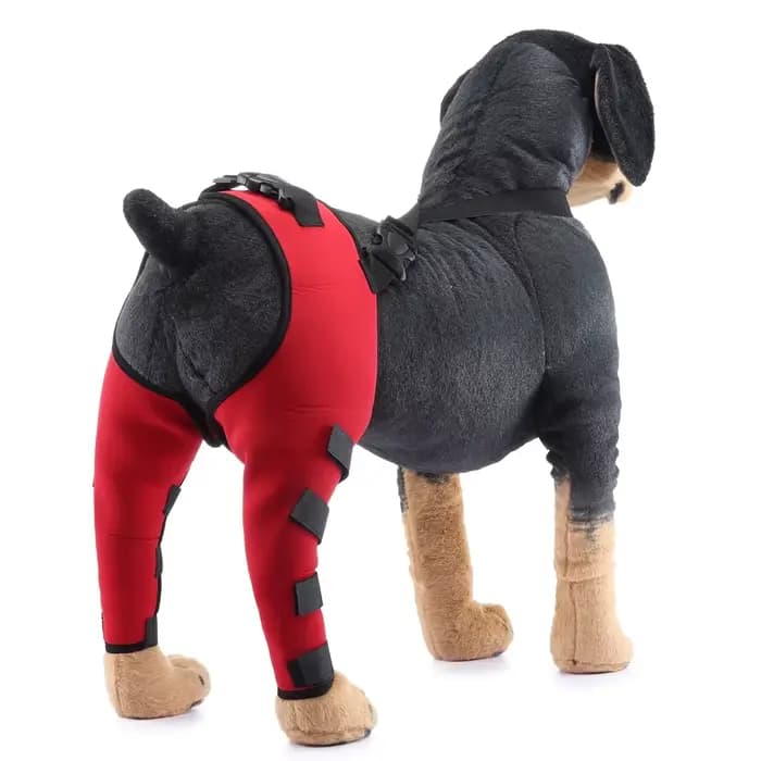 Genouillères pour chiots de compagnie, attelles arrière pour chiens blessés, attelle de soutien pour