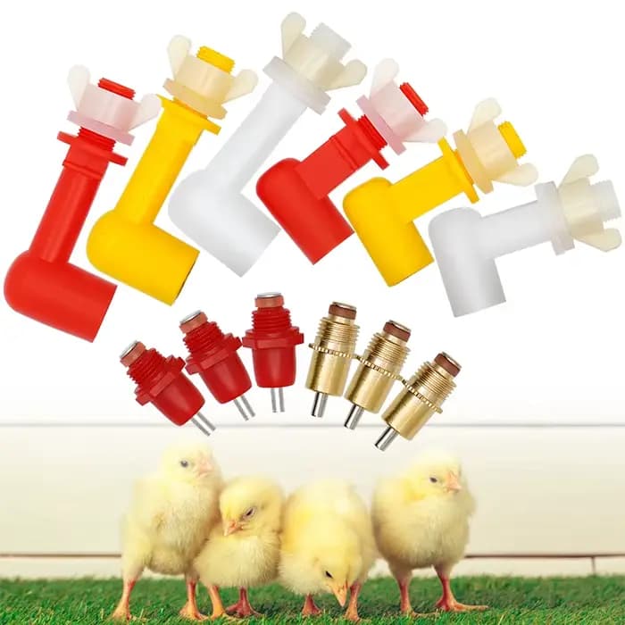 Abreuvoirs d'eau jetables, 5 pièces, modèles différents, lapin, caille, poussins, dindes, volaille