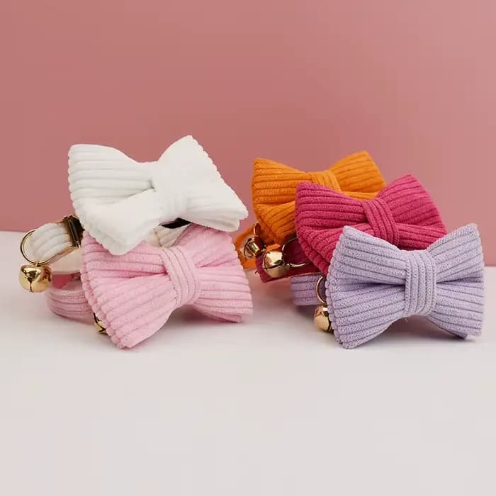 Collier collier de chat personnalisé colliers de chat personnalisés étiquette d'identification