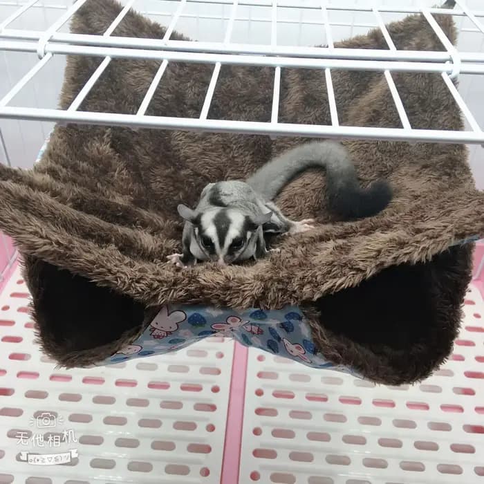 Hamac chaud d'hiver pour animaux de compagnie, Double couche épaisse en peluche pour Hamster, Chinch