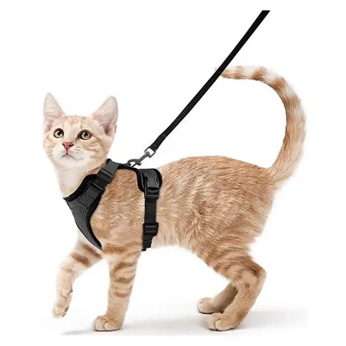 Harnais et laisse pour chat pour la marche, harnais de gilet doux et réglable anti-fuite pour chats,