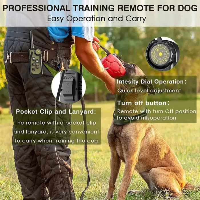 Collier de dressage électrique pour chien, télécommande, étanche, arrêt des aboiements pour chien de