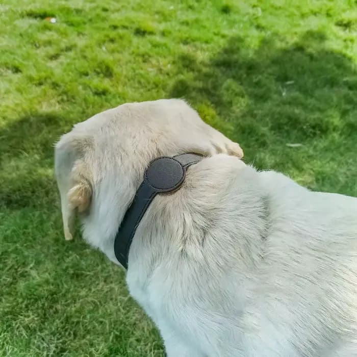 Pour Apple Airtag traqueur de protection étanche chien de compagnie Anti-perte positionnement Silico
